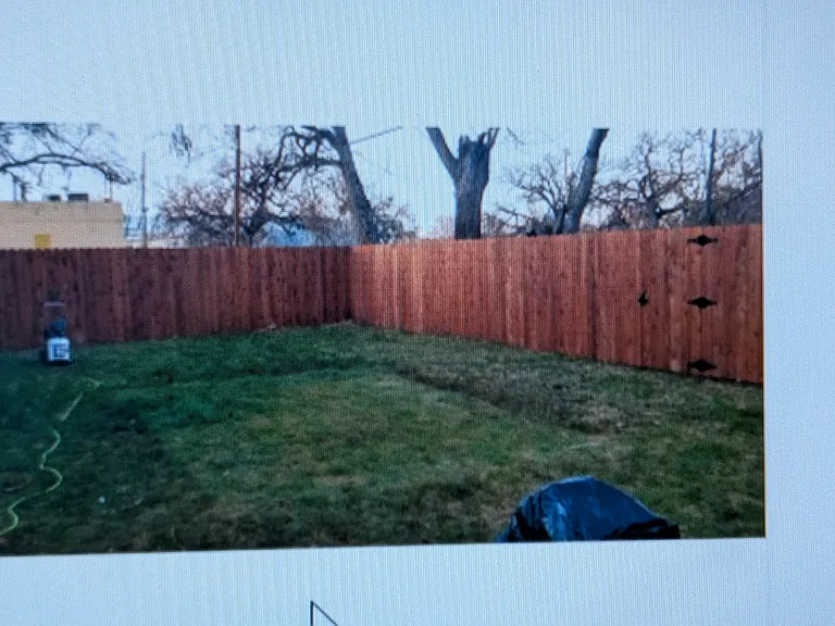 1414 N Calhoun St — Photo 13