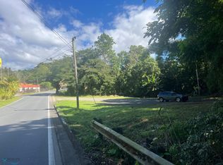 Km 36.8 Pr #181, San Lorenzo, PR 00754