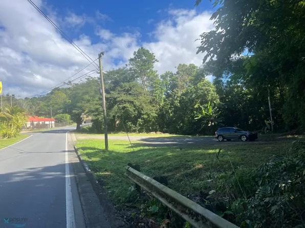 Km 36.8 Pr #181, San Lorenzo, PR 00754