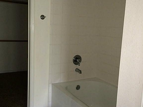 Master bath/shower