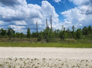 Scissorbill Ave, Weeki wachee, FL 34614