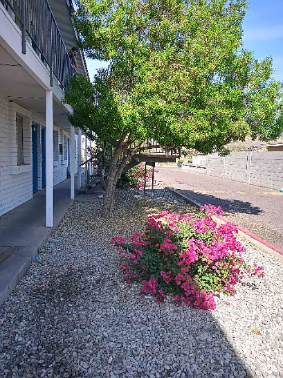 1725 W Vogel Ave #4 — Photo 12
