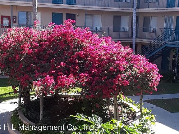 2nd image of 9720 Flower St APT 238