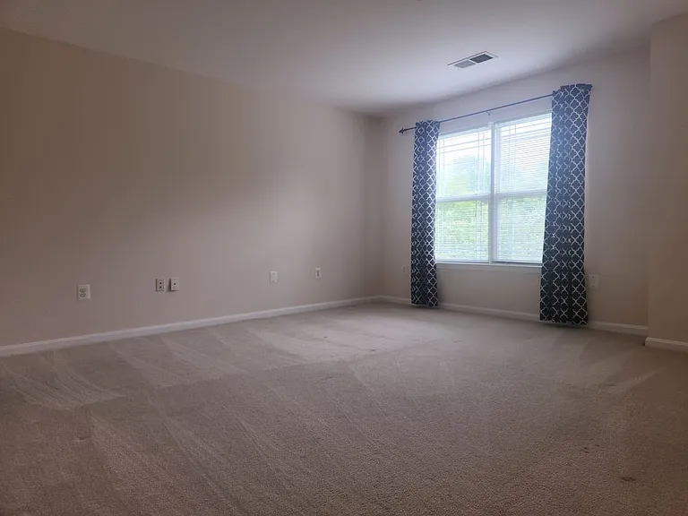 114 Emory Woods Ct — Photo 10