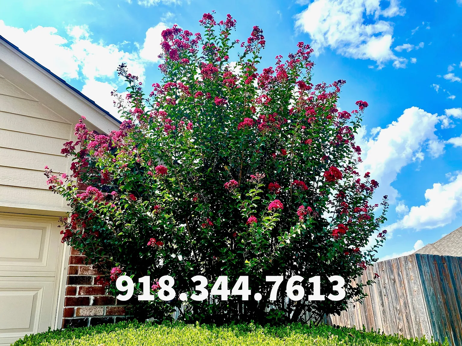 3 bed, $1,950 — Photo 2