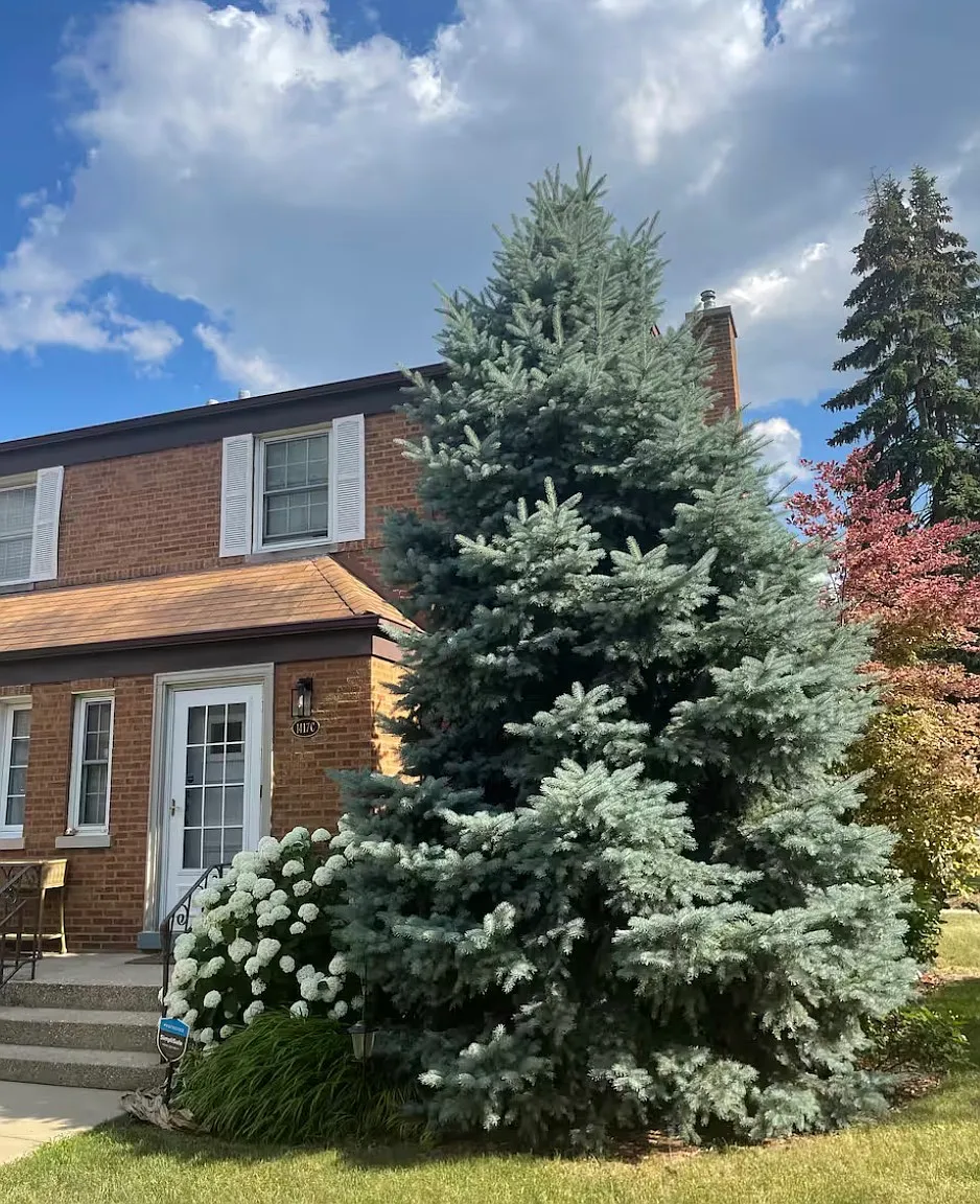2 bed, 1.5 bath, 1200 sqft, $4,100 — Photo 1