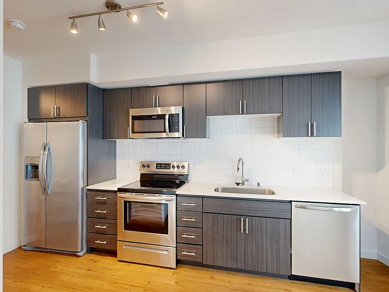 Apartment Kitchen with Stainless Steel Appliances and Wood-Style Flooring.