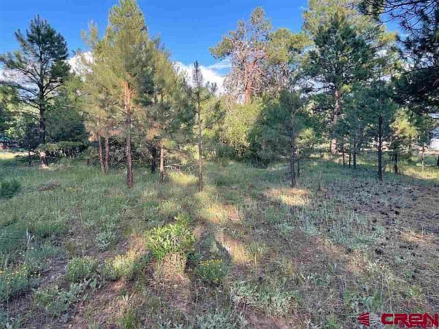 2nd image of 762 Hills Circle