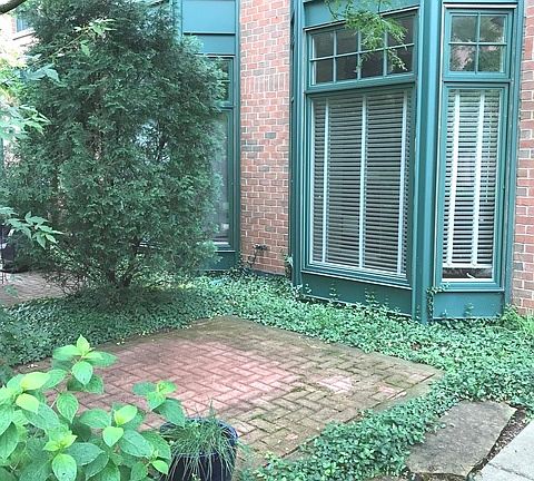 2nd image of 101 N Euclid Ave APT 2-19