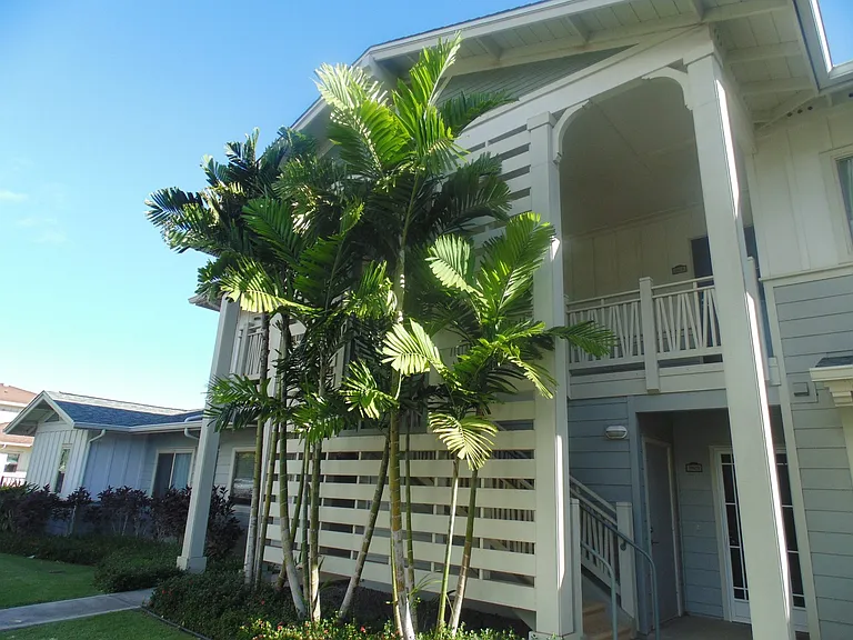 123 Hoowaiwai Loop #1806 — Photo 11