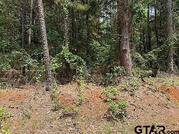 4th image of 179 County Road 2693