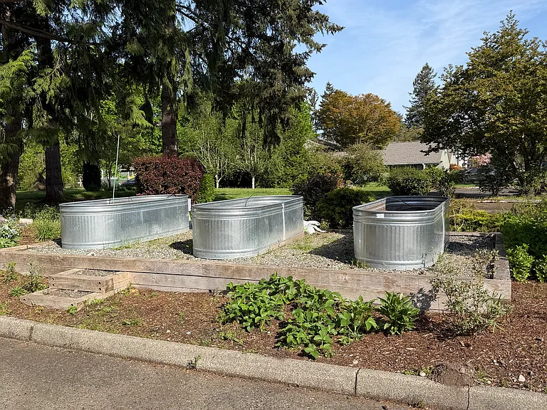 organic raised garden beds