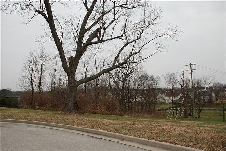 1st image of 104 Ashton Ct