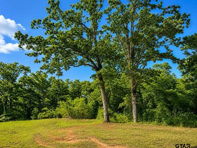W Highway 80, Mineola, TX, 75773