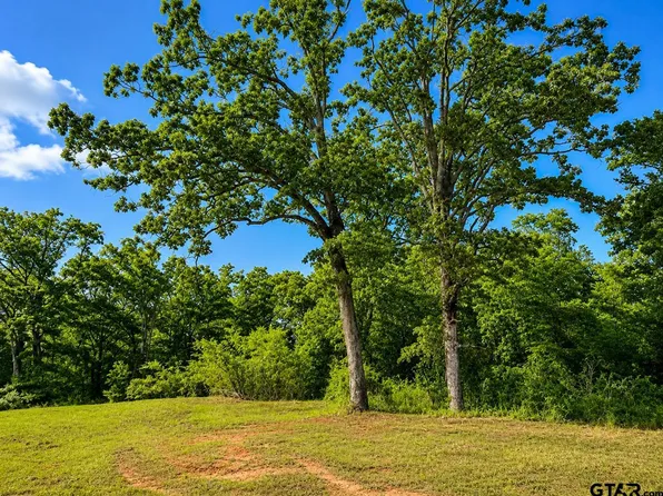 W Highway 80, Mineola, TX 75773