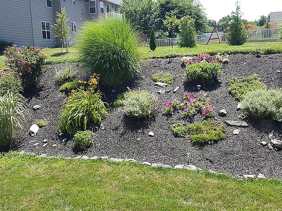 Back yard with nice plants