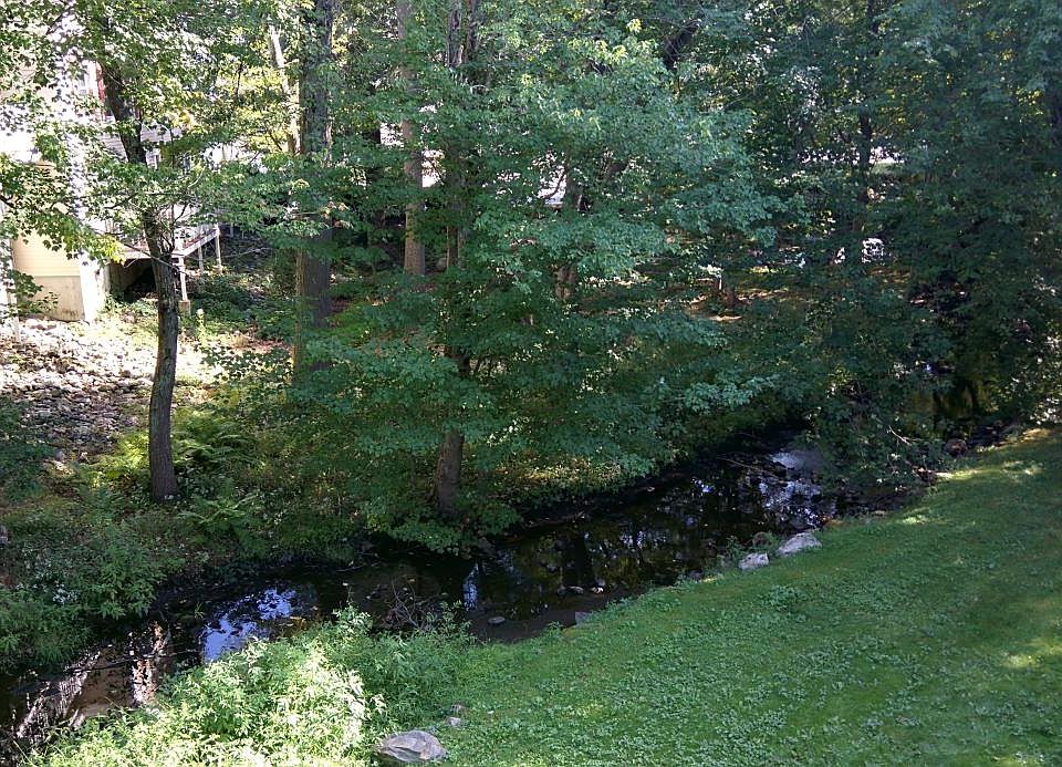 View from the back porch