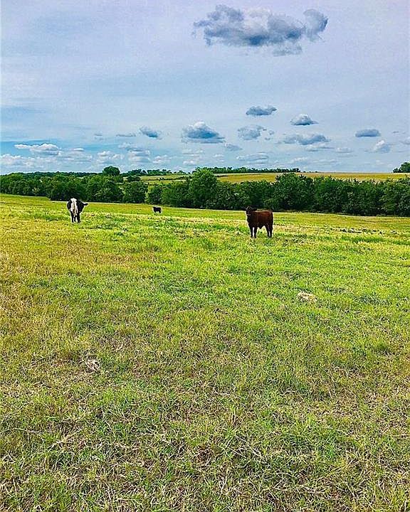 1st image of 1905 Century Farms Rd