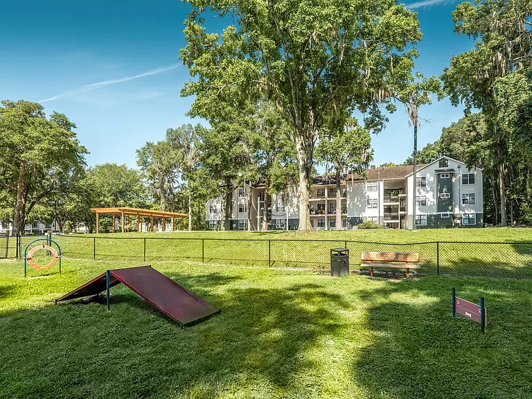 Forest View Apartments — Photo 4