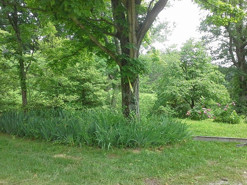 lot 1 Fenwood Estates 5.29 acres