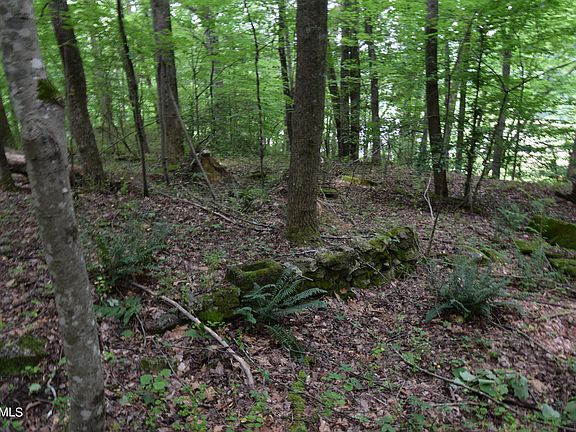 3rd image of Patton Lane & Old Patton Ln