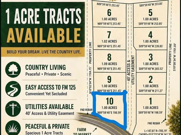 20289-10 Fm 125 S, Bivins, TX 75555