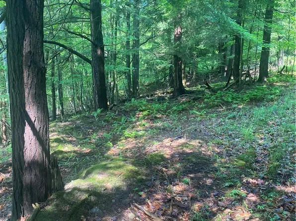 State Rd Lot 41, Bolivar, NY 14715