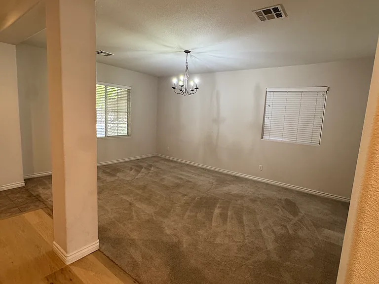2516 Alma Lidia Ave — Photo 15
