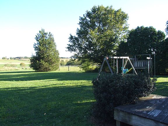 Back yard 1