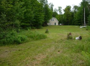 33272 W Birch Shores Dr, Trout Lake, MI 49793