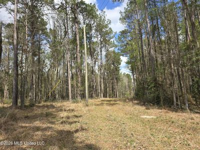 2556 SW 98th Hwy, Smithdale, MS, 39664