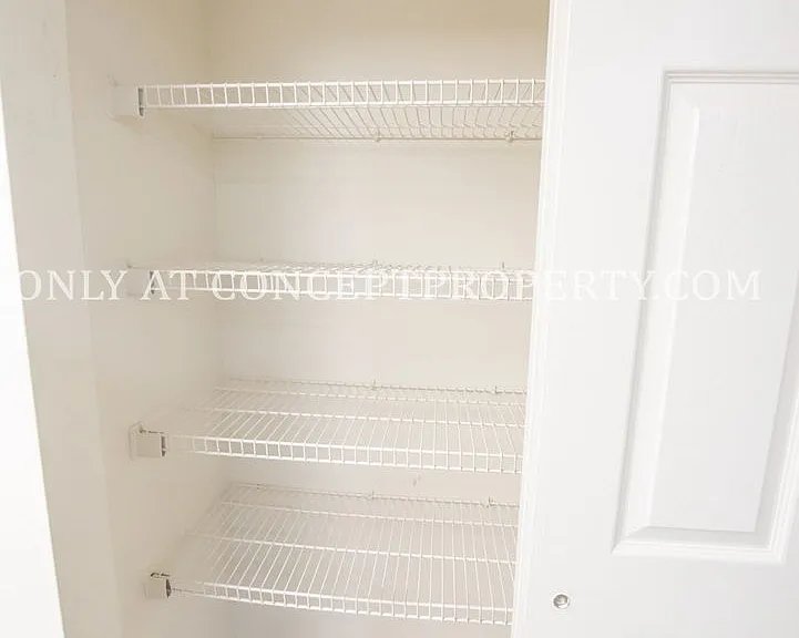 Bentwood — Photo 258