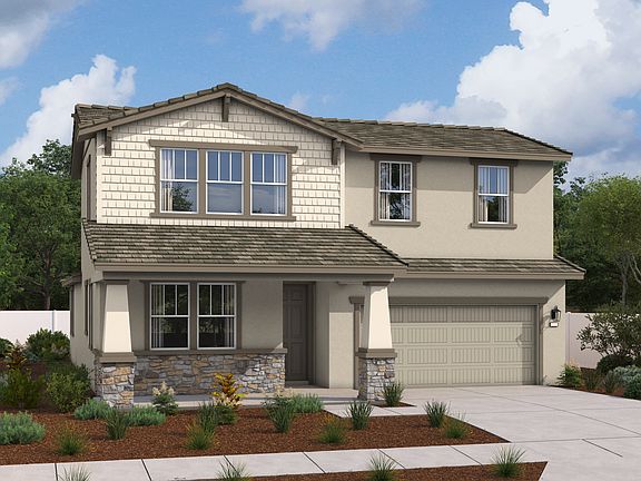 The Elderberry Elevation C