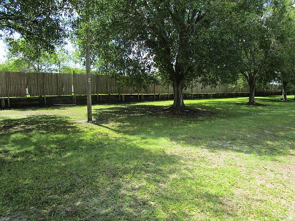 Back yard