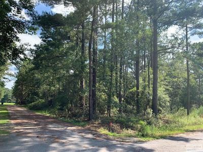 Dove Point Rd, Santee, SC, 29142