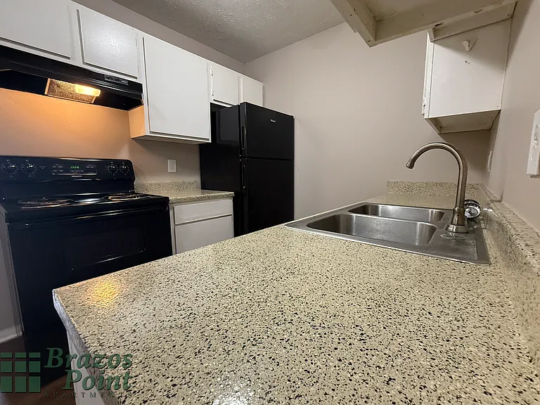 Brazos Point Apartments — Photo 12