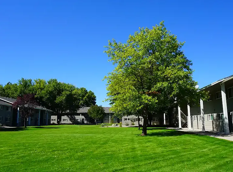 Lincoln Garden — Photo 13