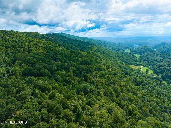 2nd image of 956 Sherm Mountain Rd