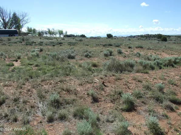 W Rencher, Snowflake, AZ 85937
