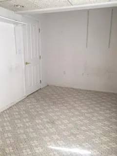 Ironweed Dr — Photo 25