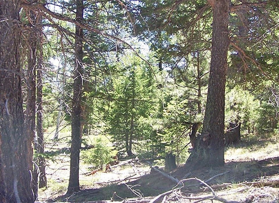 1st image of Chubb Ct