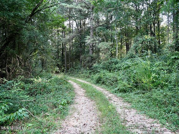 2nd image of County Road 16