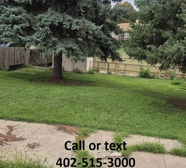 12818 Emiline St — Photo 24