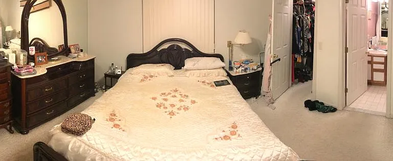 Master bedroom with walk-in closet and full bathroom