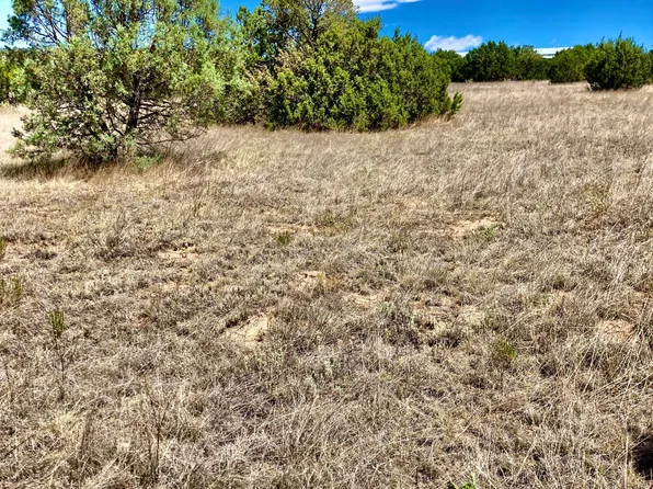 LOT 21 Holden Rd, Alto, NM 88312