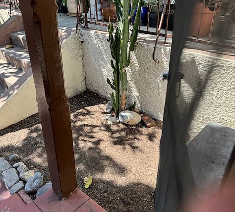 4th image of 1953 Argyle Ave