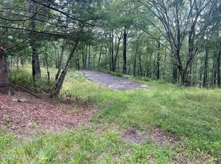 1D Olafsen Rd, Hawley, PA 18428