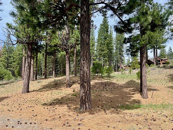 2nd image of 153 Saddle Ridge Rd