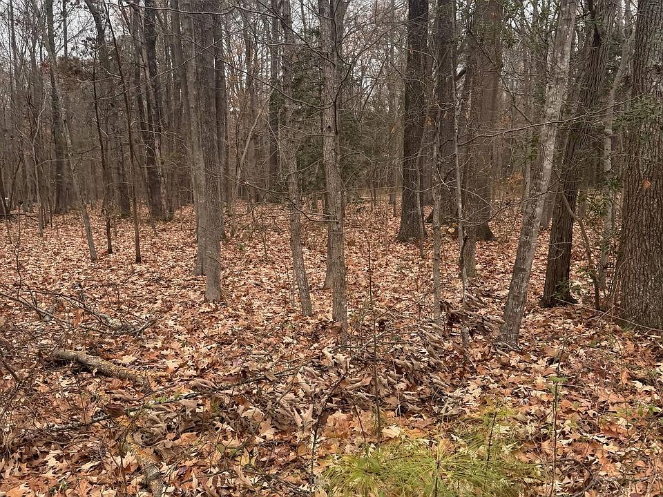 2nd image of Woodbush Dr