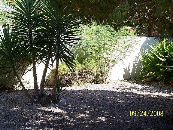 rear yard
